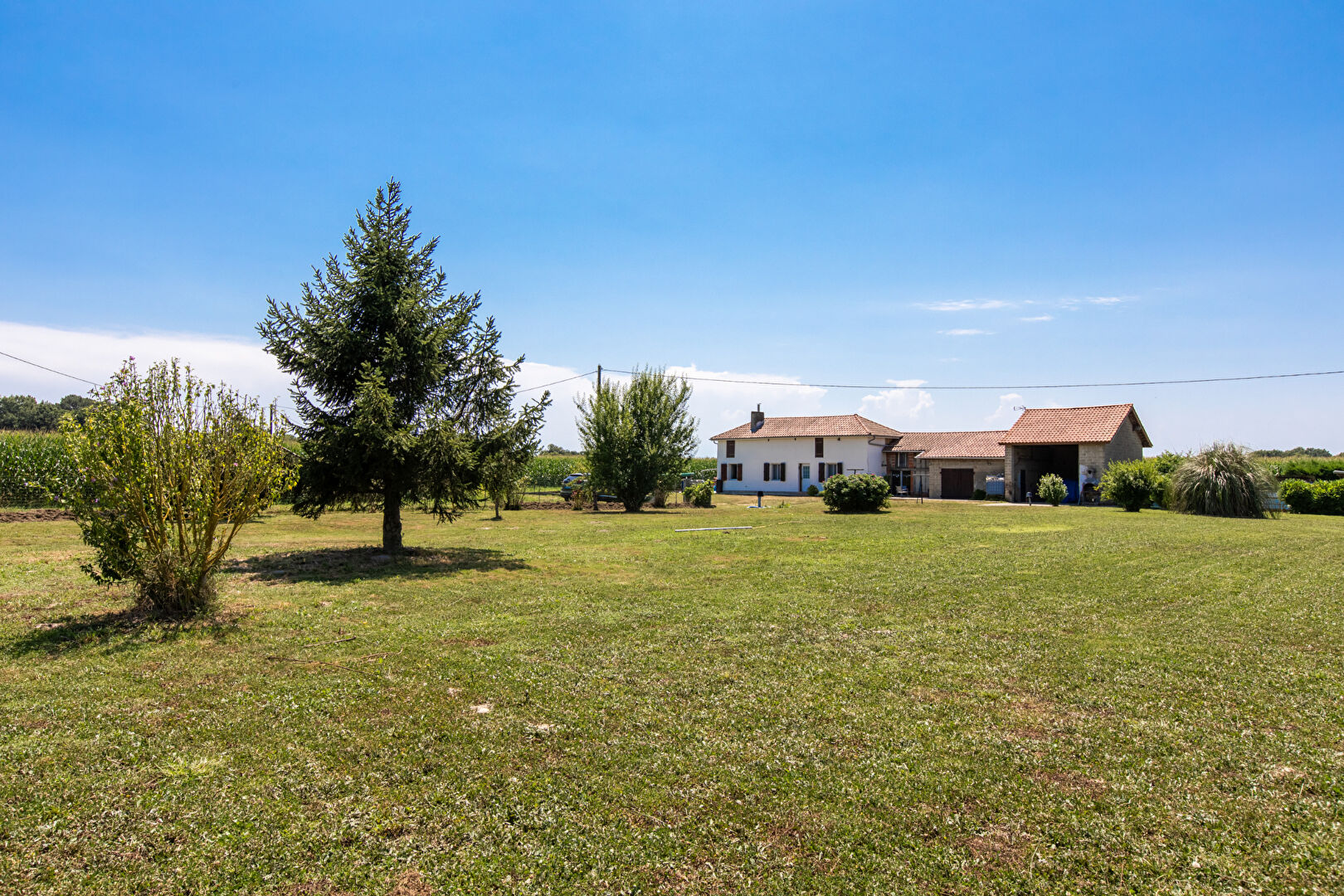 Agence immobilière de COTE PATIO IMMOBILIER- Aire Sur Adour