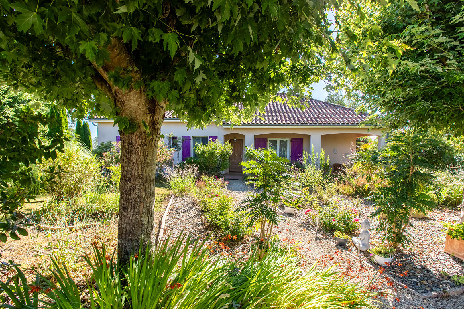 Agence immobilière de COTE PATIO IMMOBILIER- Aire Sur Adour