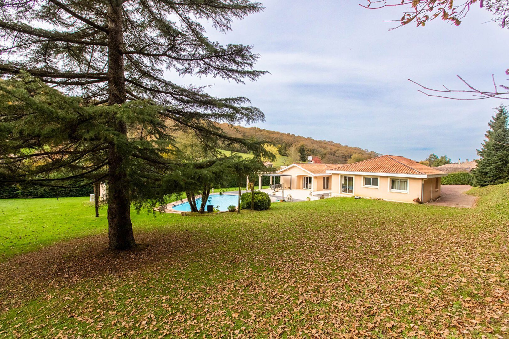 Agence immobilière de COTE PATIO IMMOBILIER- Aire Sur Adour