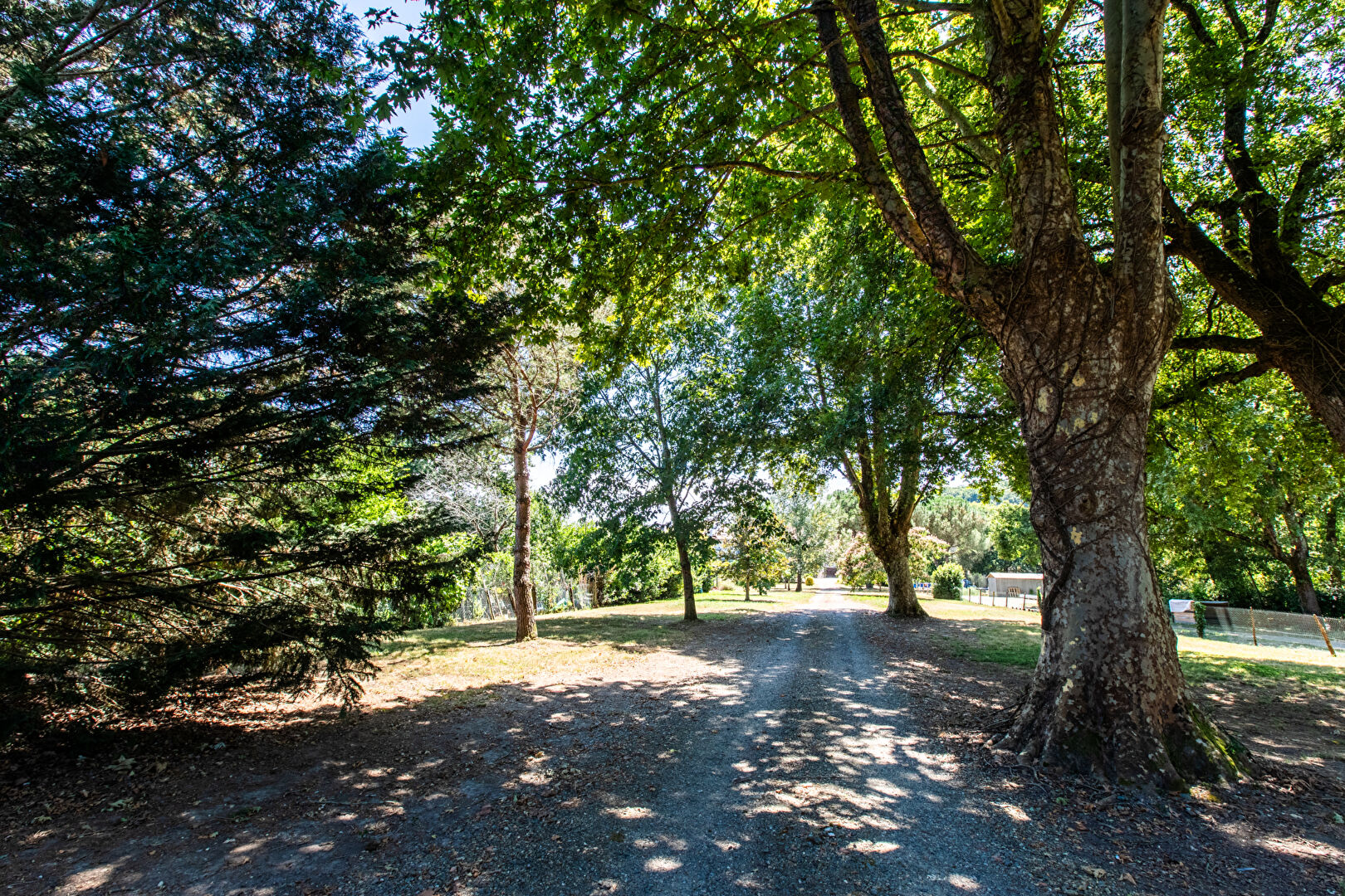 Agence immobilière de COTE PATIO IMMOBILIER- Aire Sur Adour