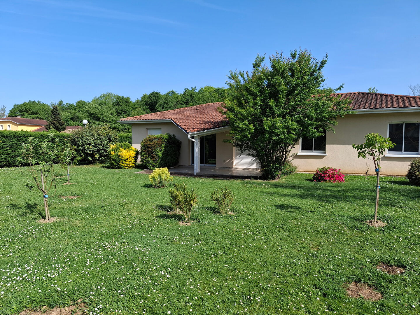 Agence immobilière de COTE PATIO IMMOBILIER- Aire Sur Adour