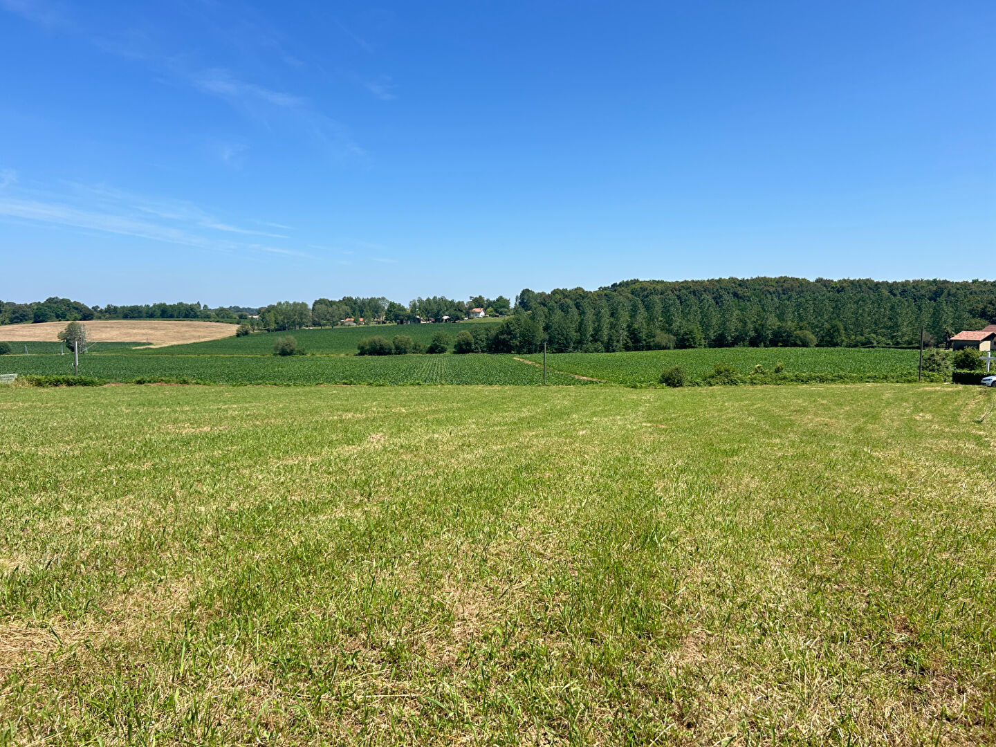 Photo Terrain Hagetmau 1518 m2 image 3/5