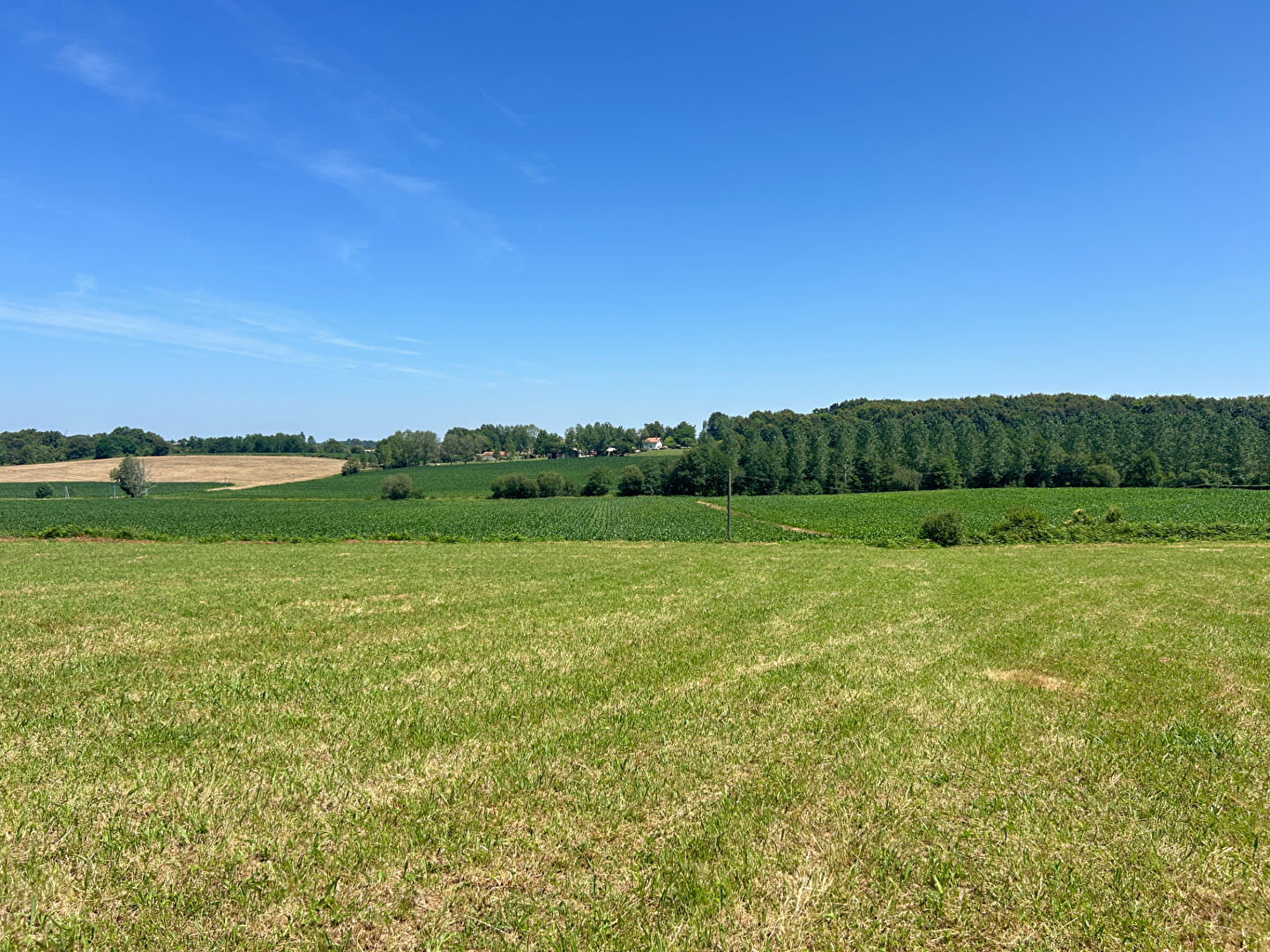 Photo Terrain Hagetmau 1410 m2 image 1/5