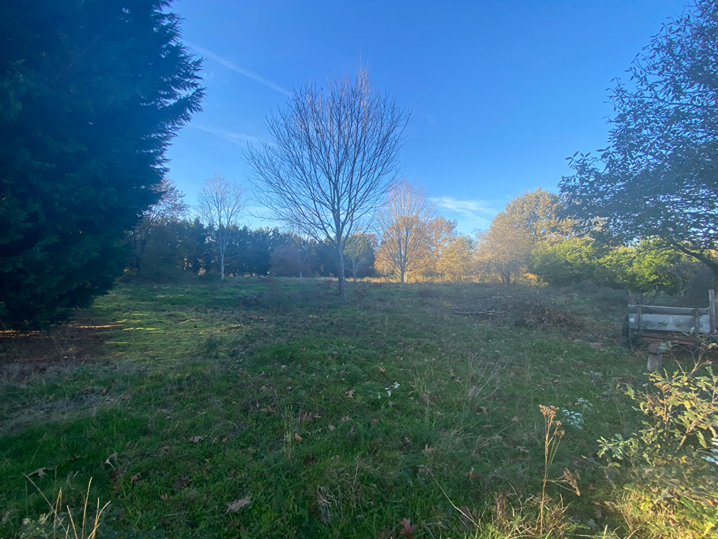 Terrain Liposthey 6880 m2