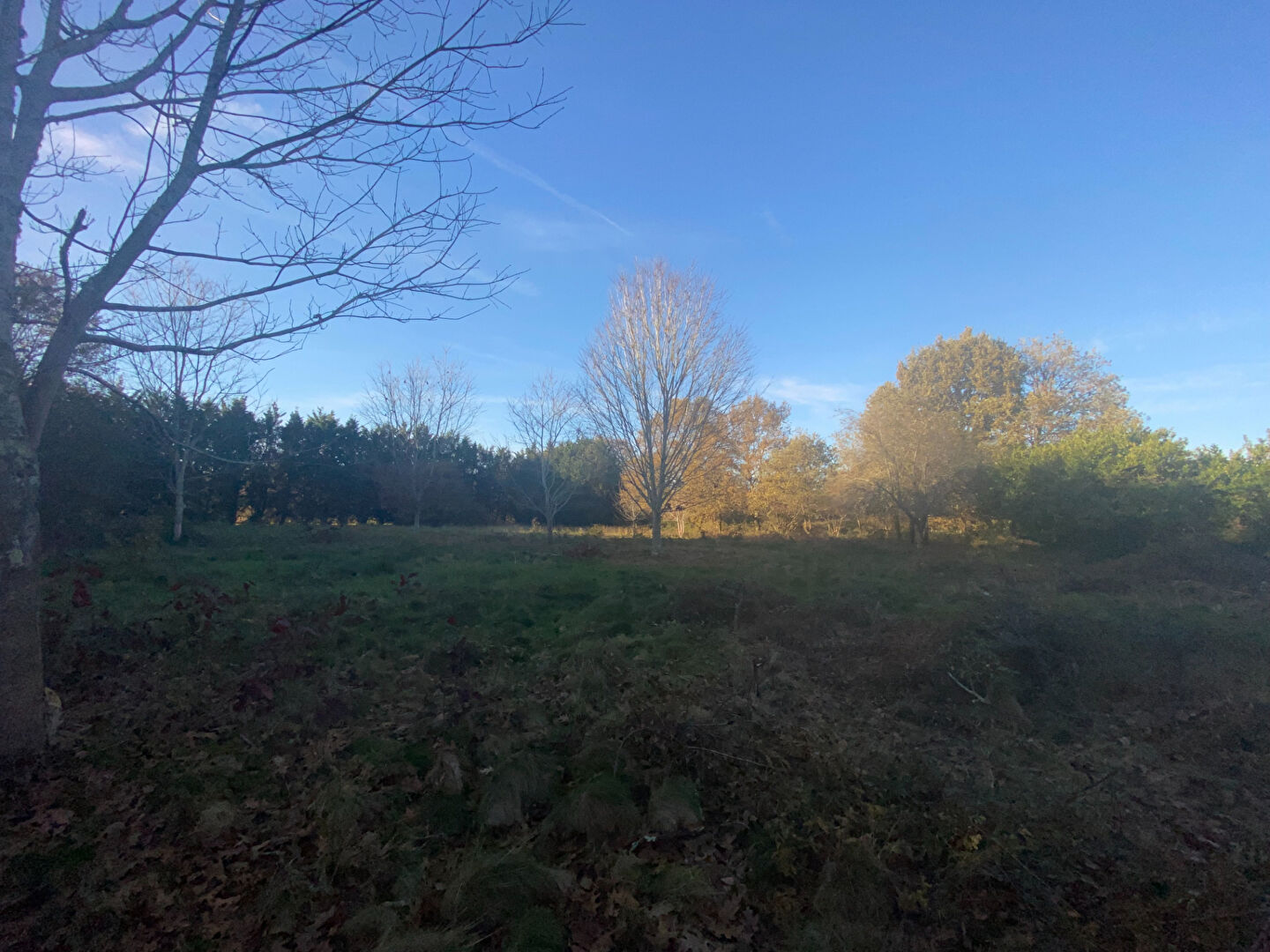 Photo Terrain Liposthey 6880 m2 image 2/2