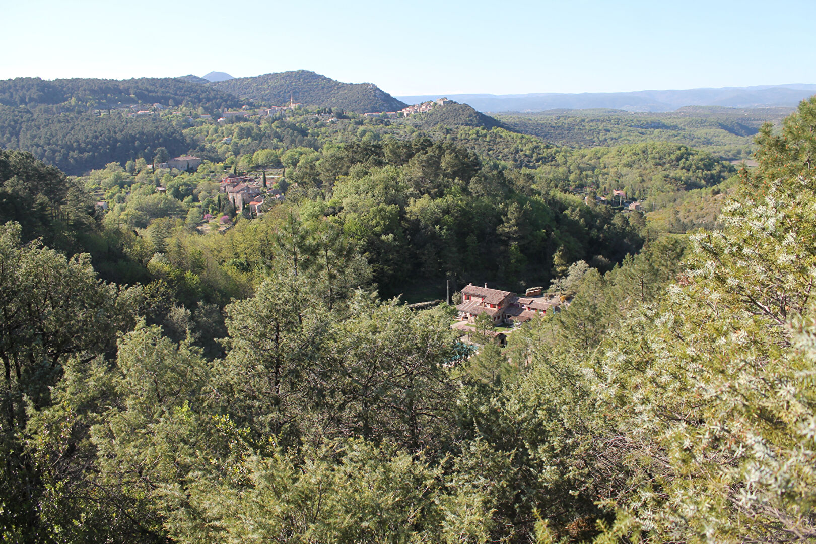 Agence immobilière de D'AVILA IMMOBILIER Saint Georges d'Orques - D'AVILA IMMOBILIER