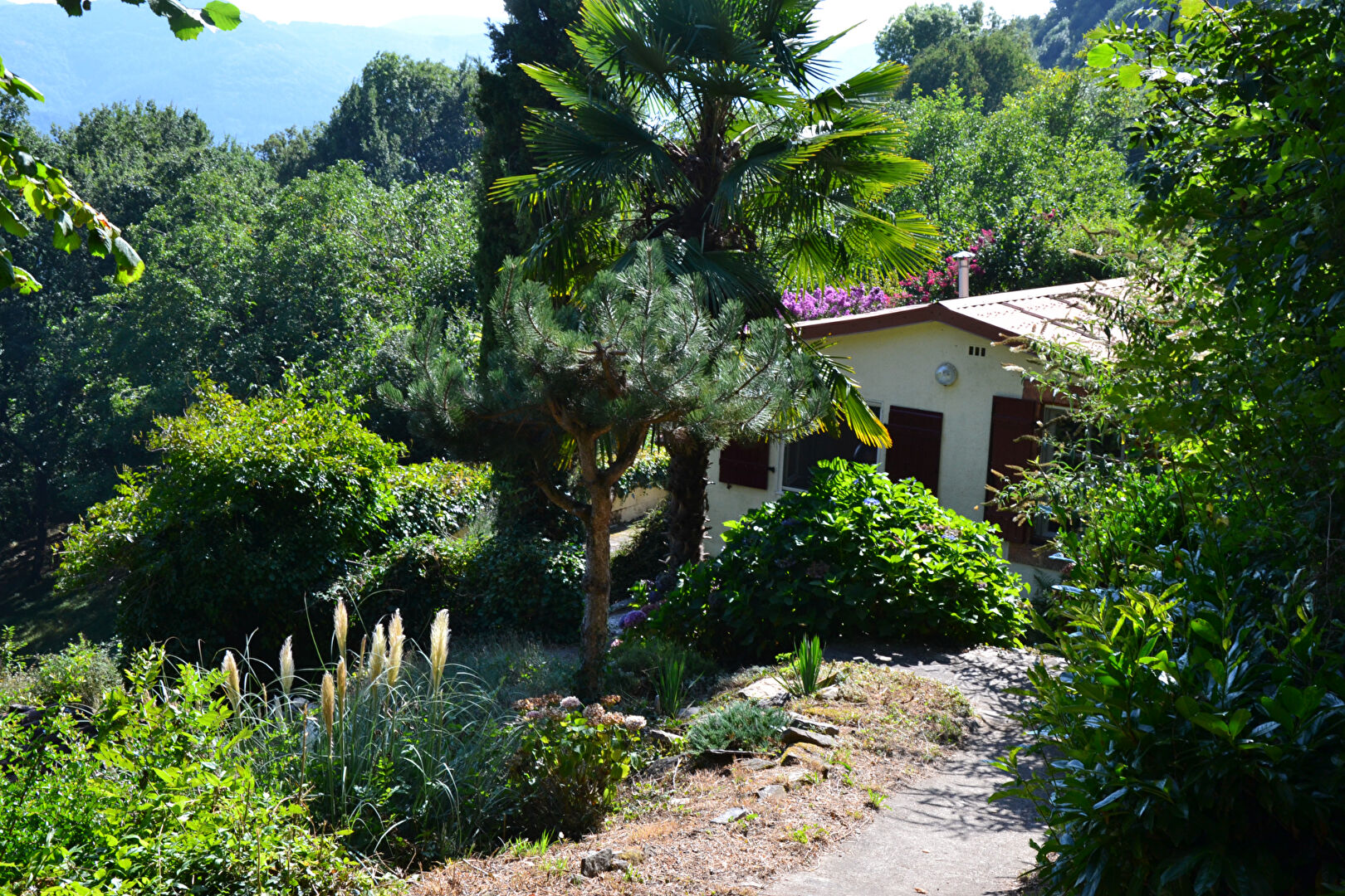 Agence immobilière de D'AVILA IMMOBILIER Saint Georges d'Orques - D'AVILA IMMOBILIER