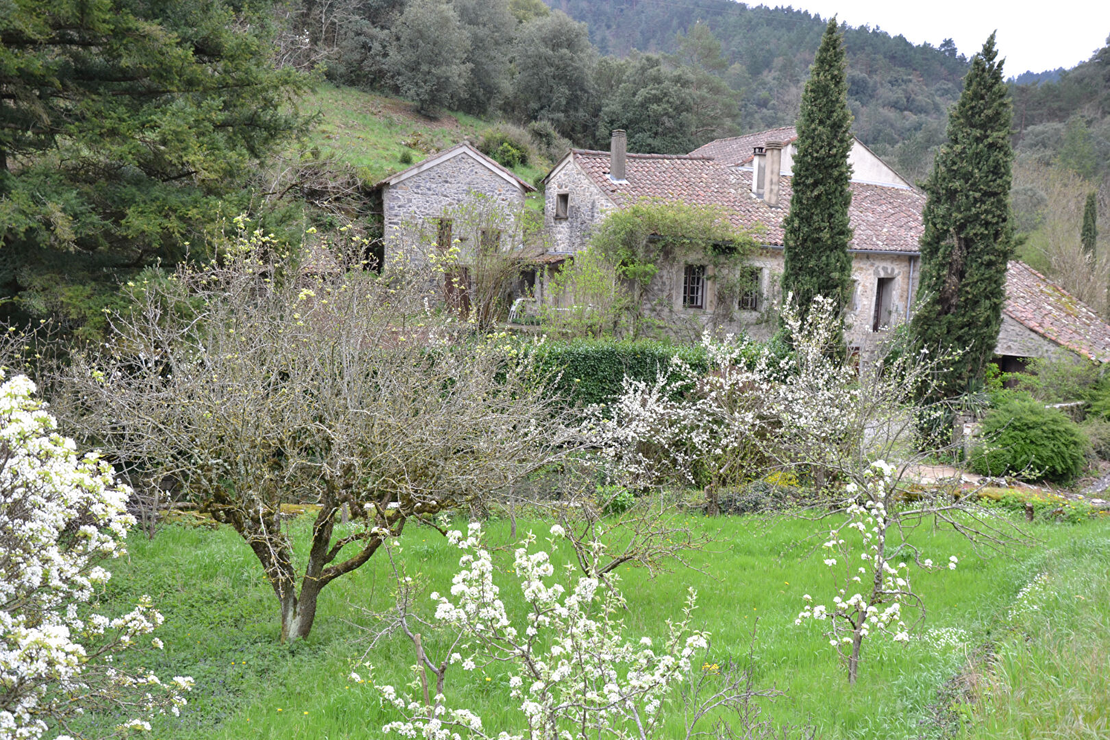 Agence immobilière de D'AVILA IMMOBILIER Saint Georges d'Orques - D'AVILA IMMOBILIER