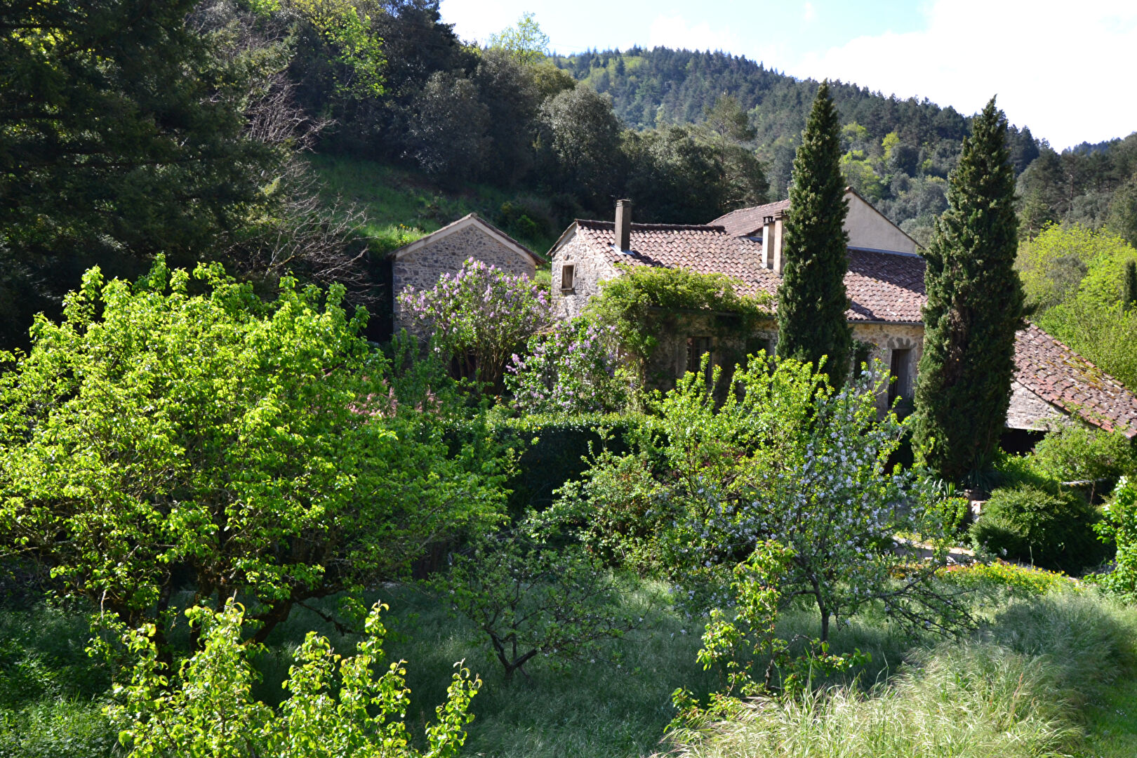 Agence immobilière de D'AVILA IMMOBILIER Saint Georges d'Orques - D'AVILA IMMOBILIER