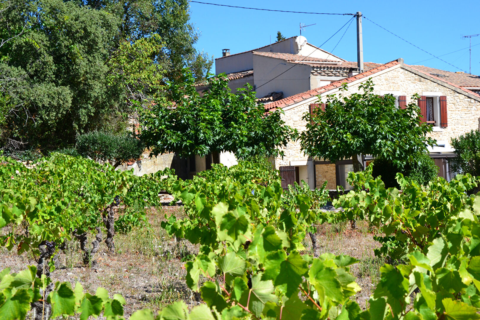 Agence immobilière de D'AVILA IMMOBILIER Saint Georges d'Orques - D'AVILA IMMOBILIER