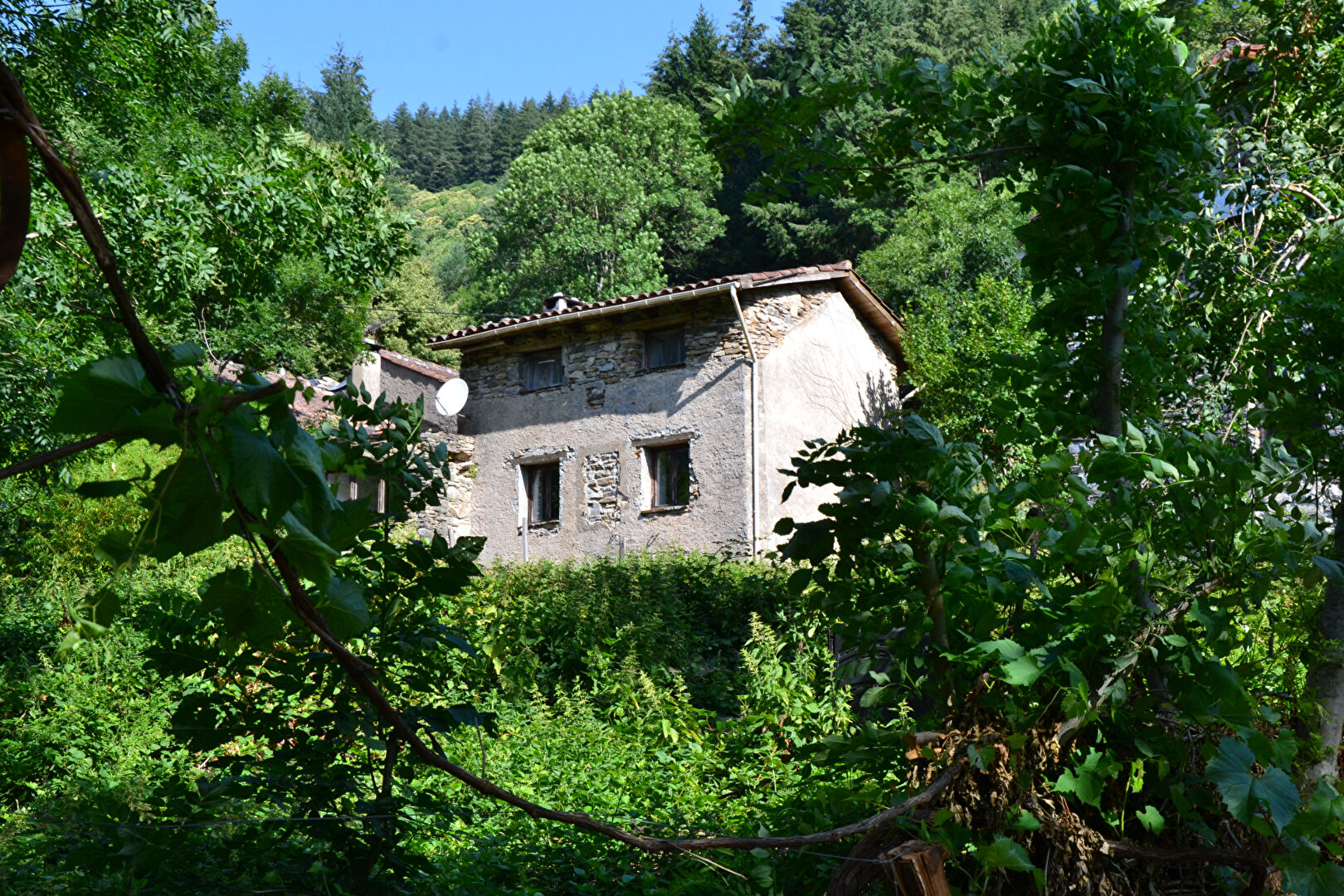 Agence immobilière de D'AVILA IMMOBILIER Saint Georges d'Orques - D'AVILA IMMOBILIER