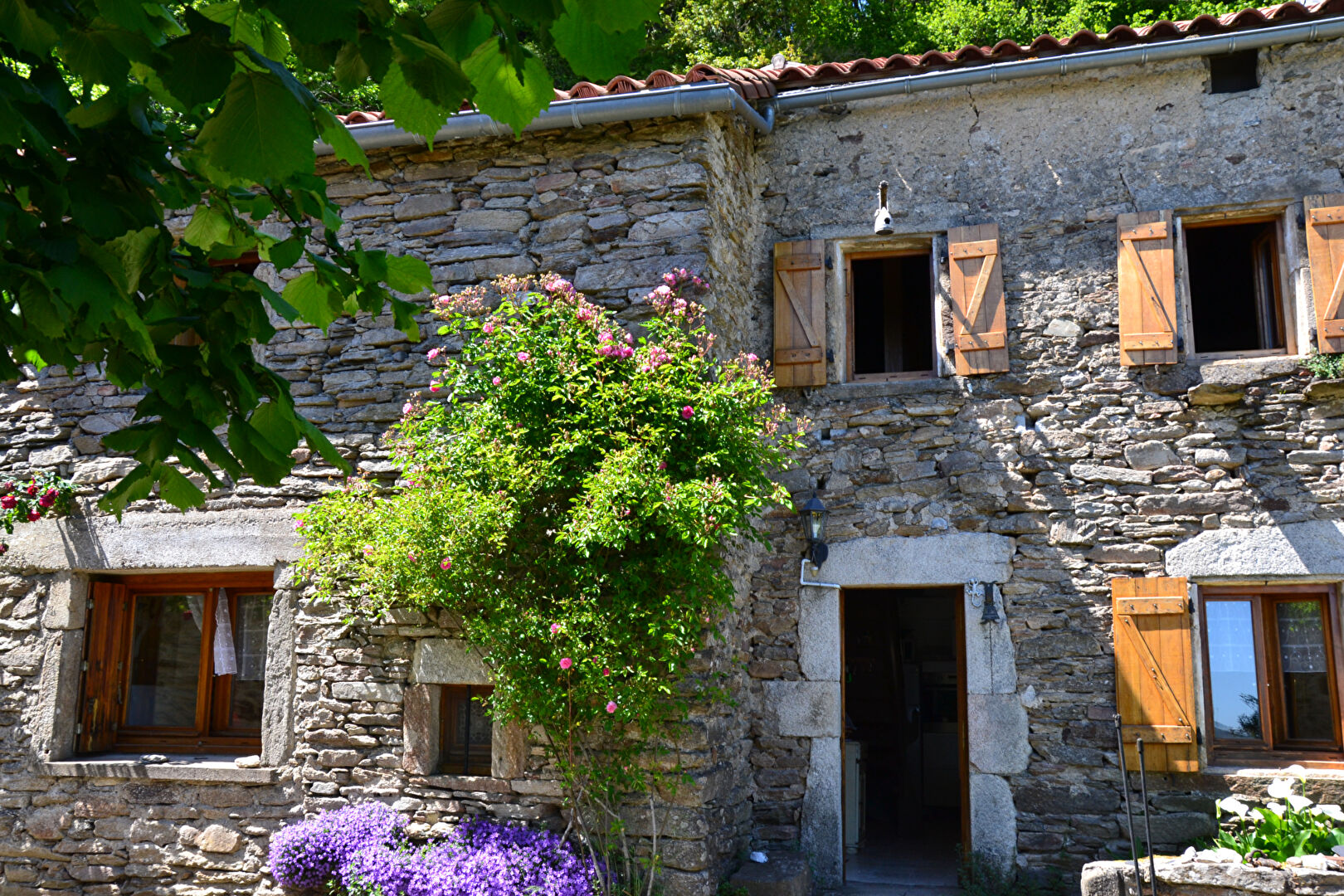 Agence immobilière de D'AVILA IMMOBILIER Saint Georges d'Orques - D'AVILA IMMOBILIER