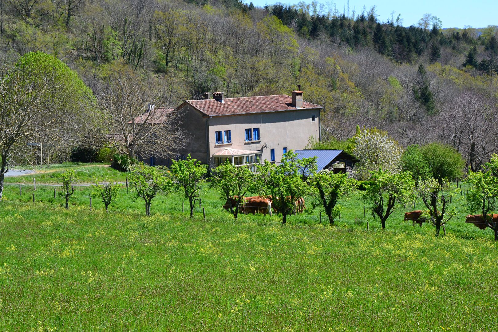 Agence immobilière de D'AVILA IMMOBILIER Saint Georges d'Orques - D'AVILA IMMOBILIER