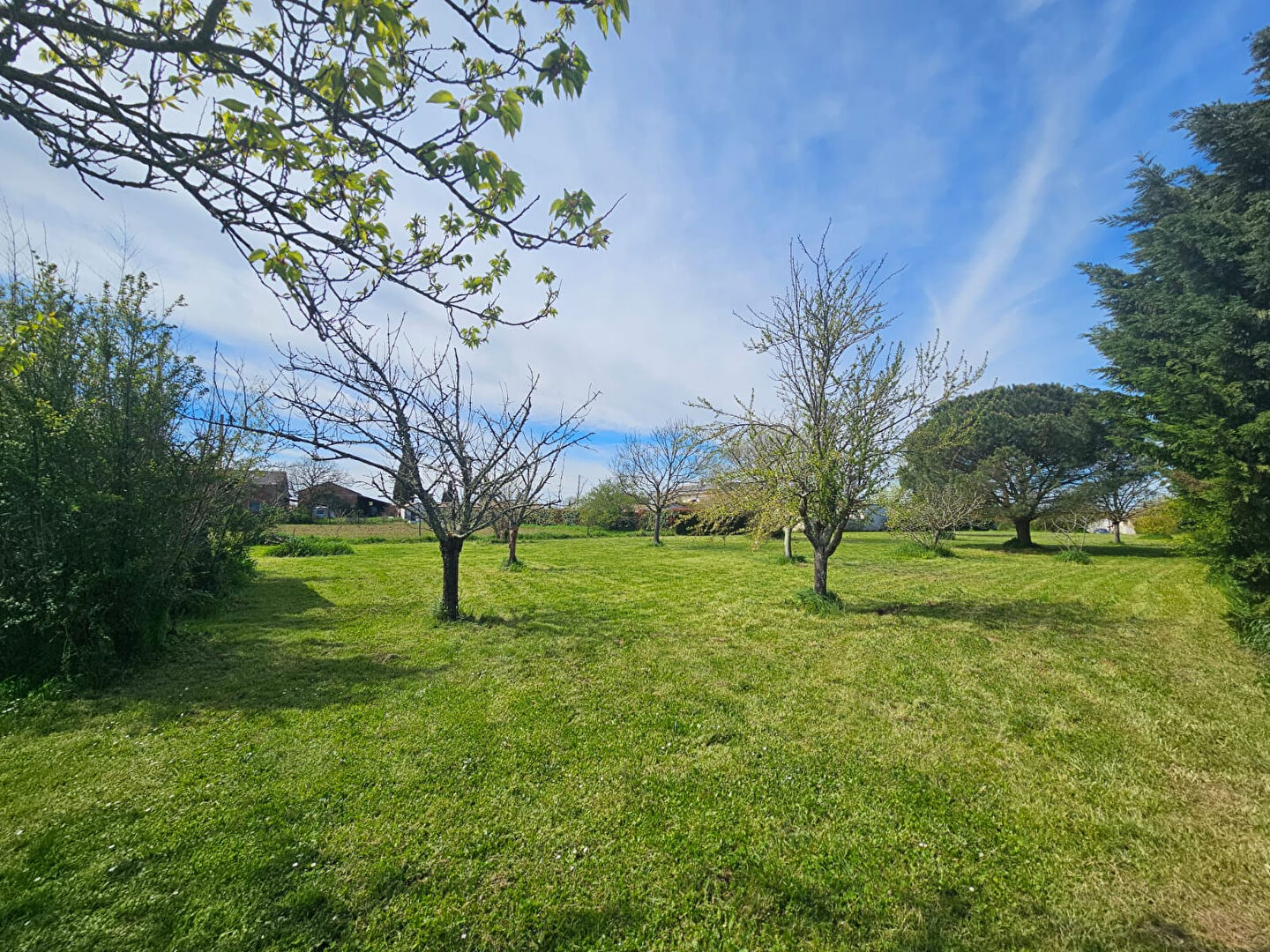 Photo Terrain Constructible à Mondonville de 4496 m² image 5/6