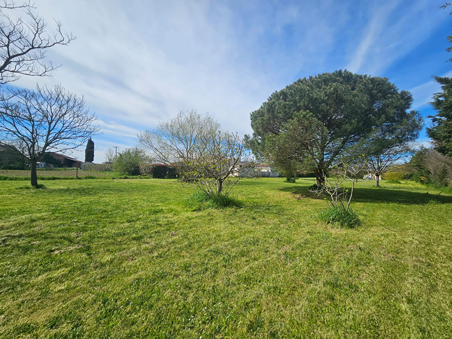 Photo Terrain Constructible à Mondonville de 4496 m² image 6/6