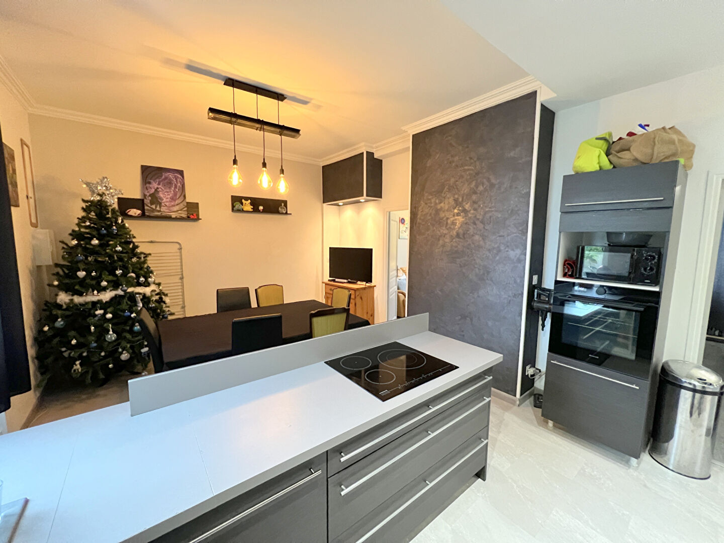 Photo Maison à Vaulx la soie 3 pièces de 56 m² avec terrain de 239m² prix 259 000 image 4/6