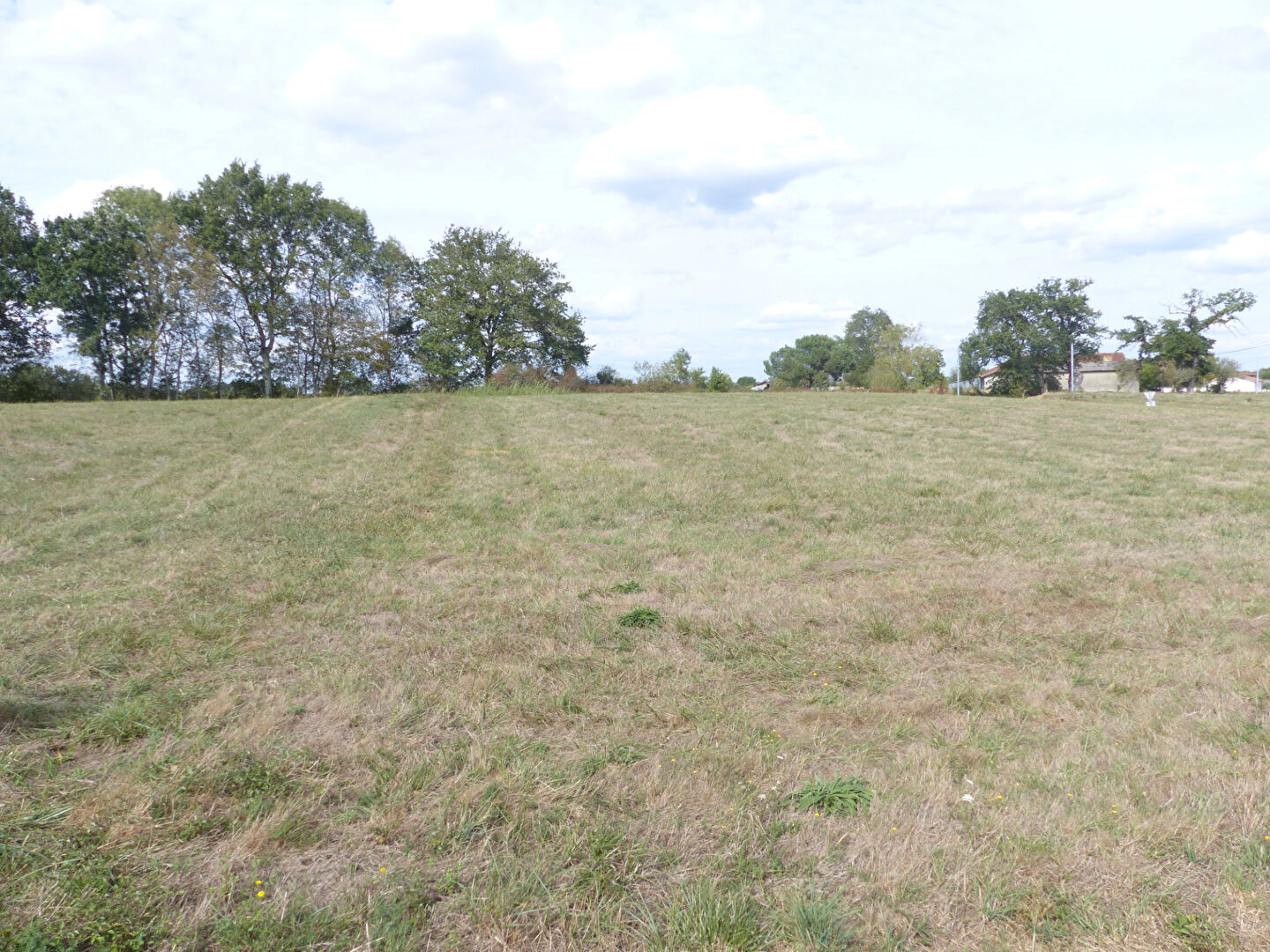 Photo 30 mn de Mont de Marsan image 2/3