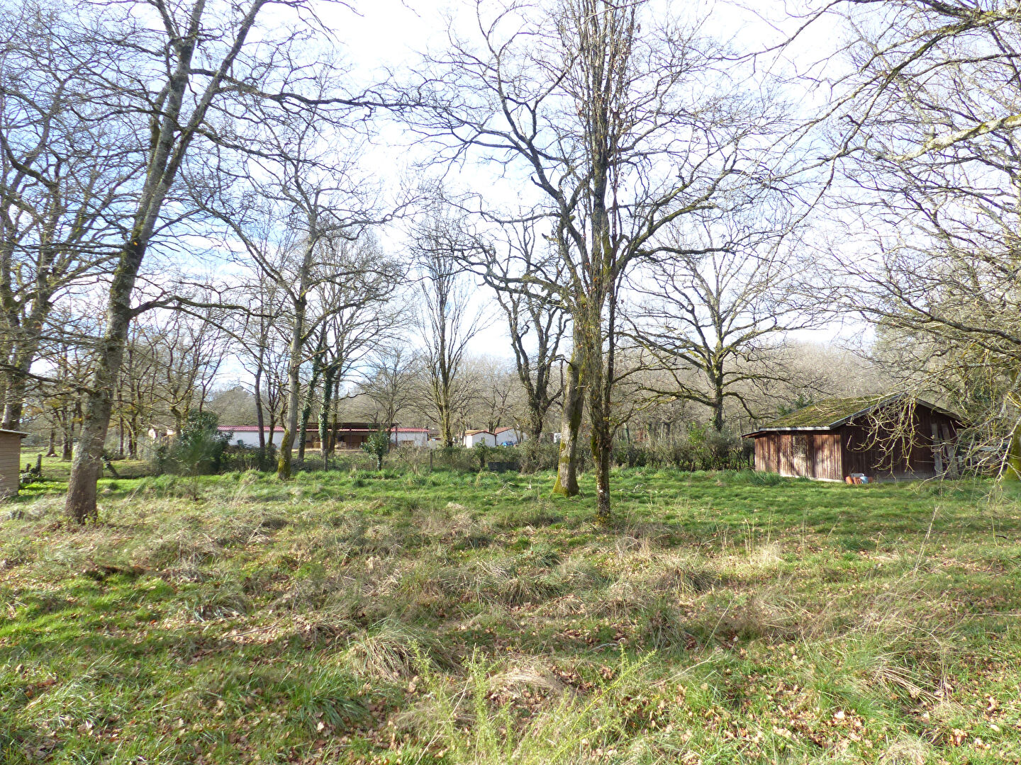 Photo Mont de Marsan image 2/3