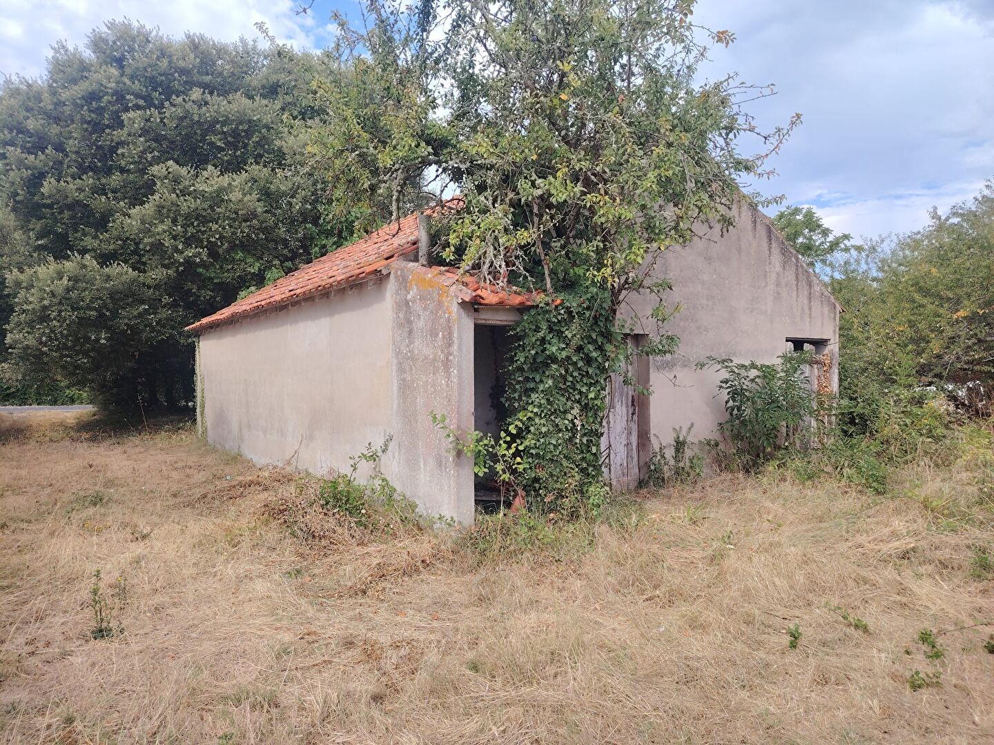 Agence immobilière de ELIOT IMMOBILIER Saint-Jean-de-Monts
