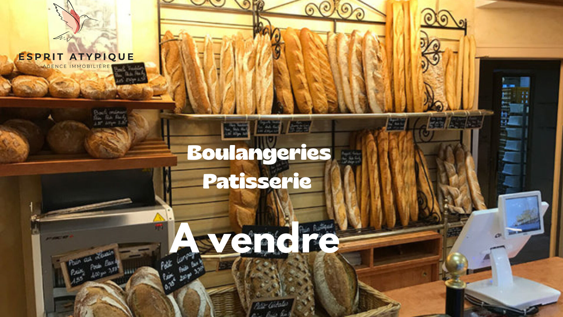 Fonds de commerce Saint Vincent De Tyrosse 280 m2