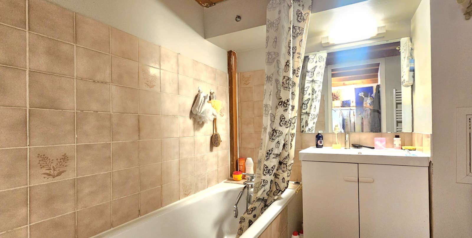 Photo Appartement Lyon1 pièces 24.64 m² image 5/6