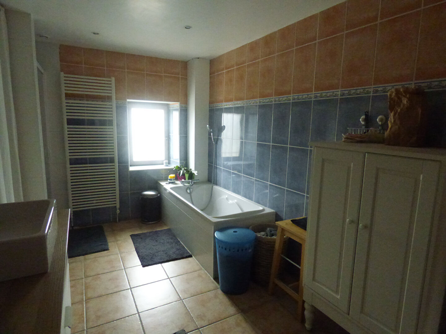 Photo VENTE Maison 7 pièces 217 m2 à SAINT VINCENT DE PAUL 40990 image 6/6