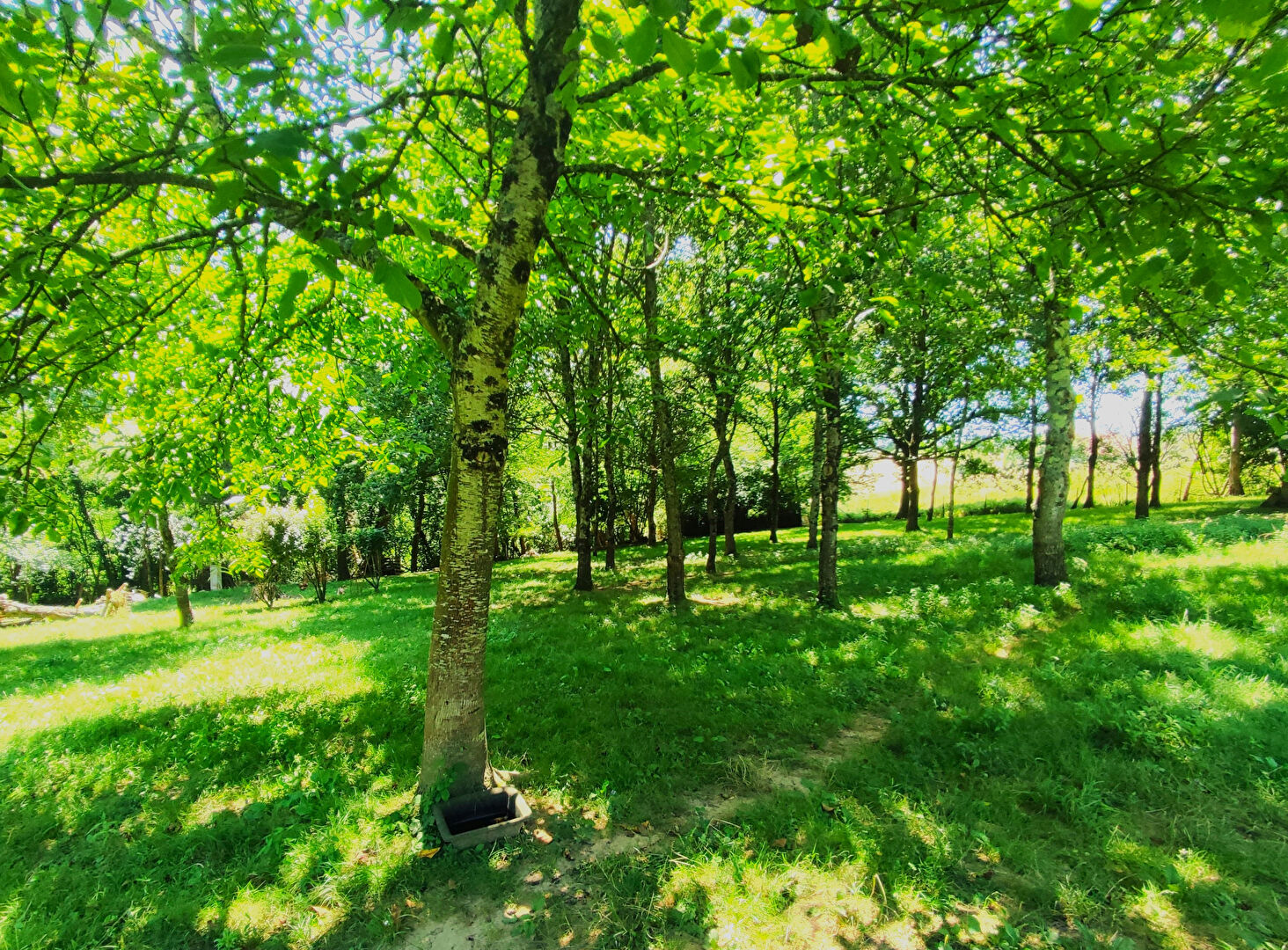 Photo Maison image 3/6