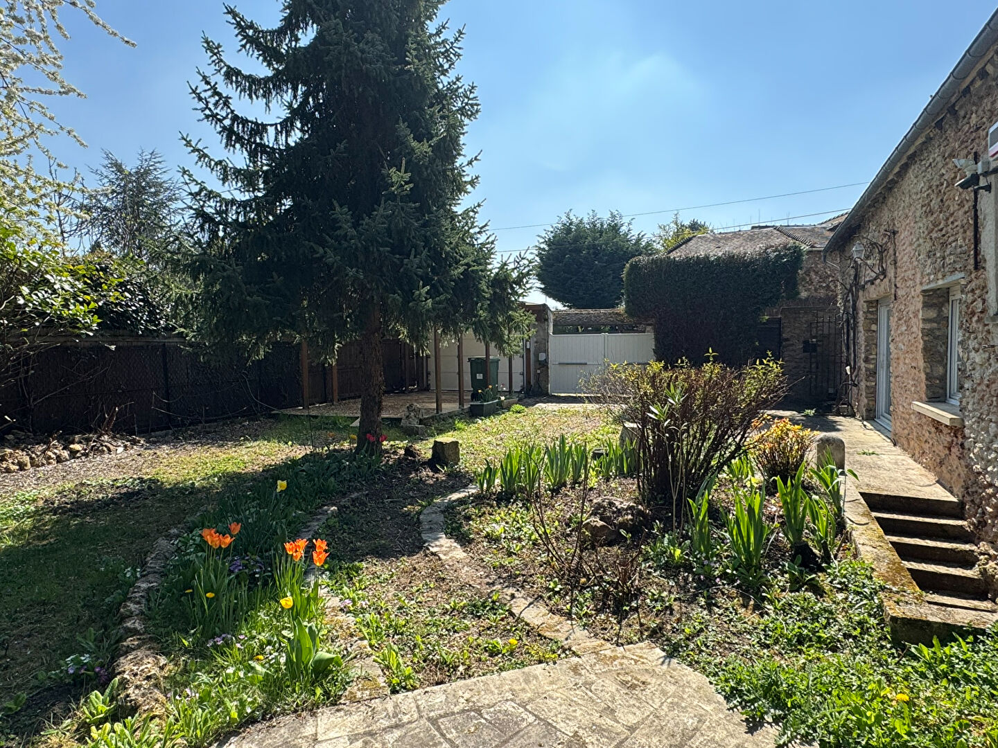 Photo ST GEMME image 2/6