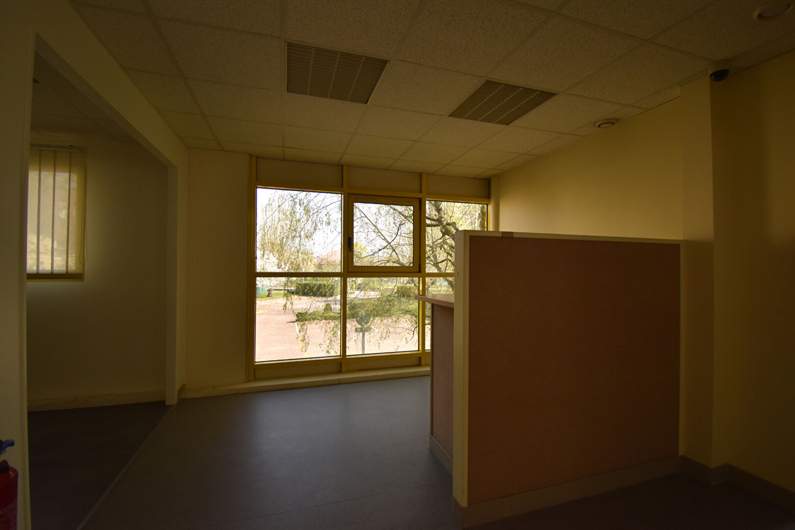 image annonce