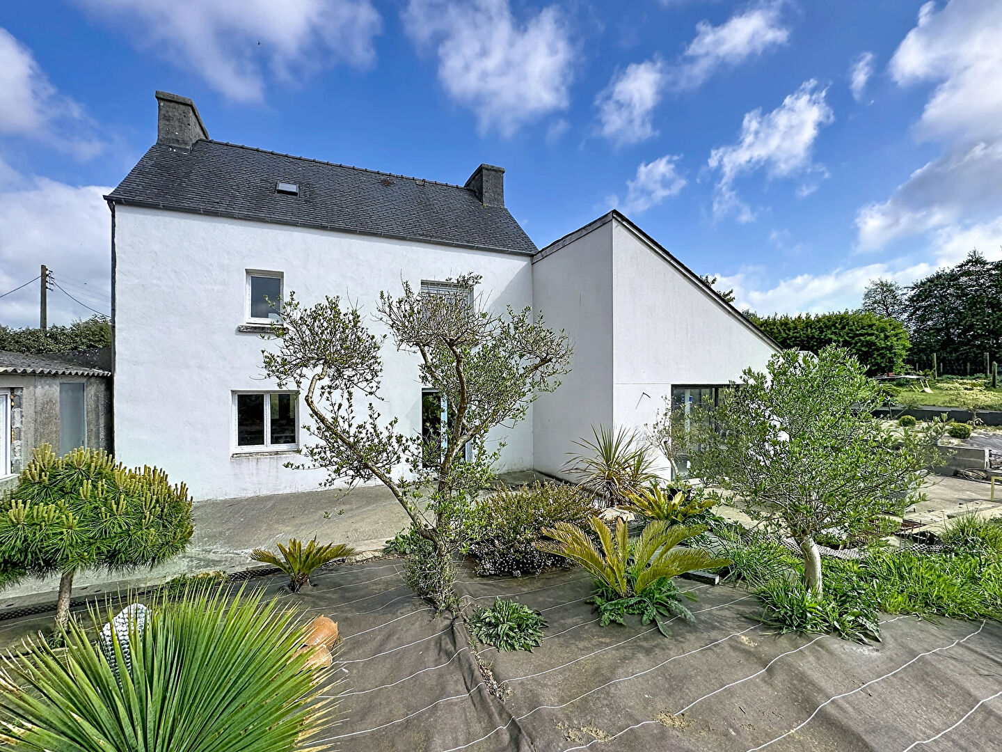 Agence immobilière de HABASQUE Immobilier Lesneven - Landivisiau