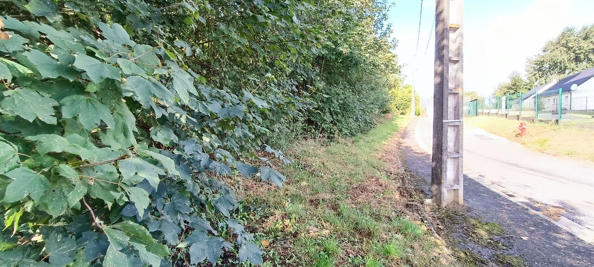 Photo TERRAIN CONSTRUCTIBLE DE 1490 M2 image 2/5