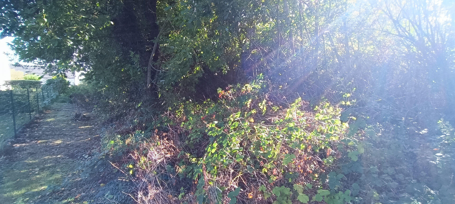 Photo TERRAIN CONSTRUCTIBLE DE 1490 M2 image 3/5