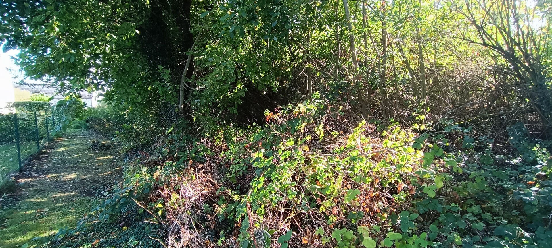 Photo TERRAIN CONSTRUCTIBLE DE 1490 M2 image 5/5