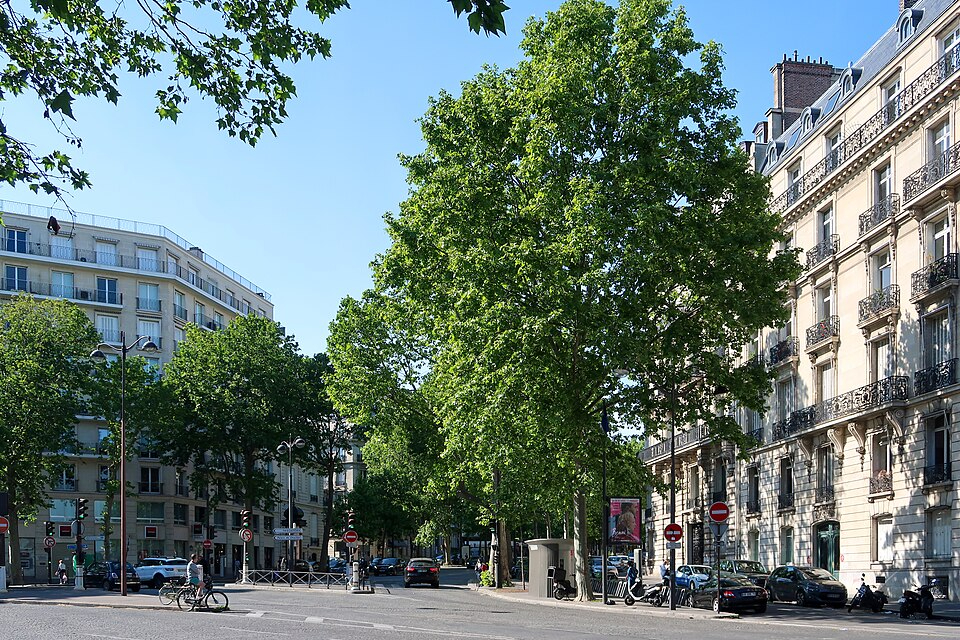 Agence immobilière de Haussmann Prestige