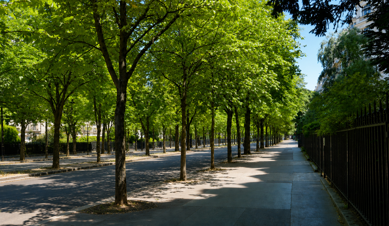 Agence immobilière de Haussmann Prestige