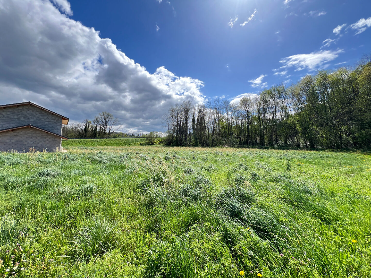 Photo Terrain Hauteville-sur-fier 820 m2 image 2/4