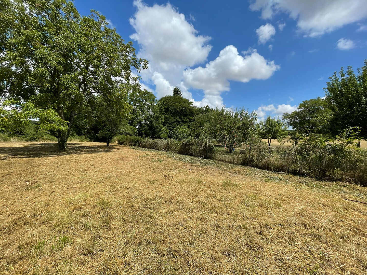 Agence immobilière de HOME SWEET IMMO Bois Colombes