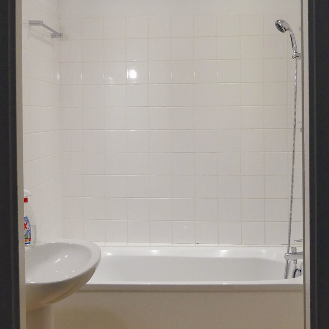 Photo Immeuble Bois de Haye 323.50 m2 image 5/6