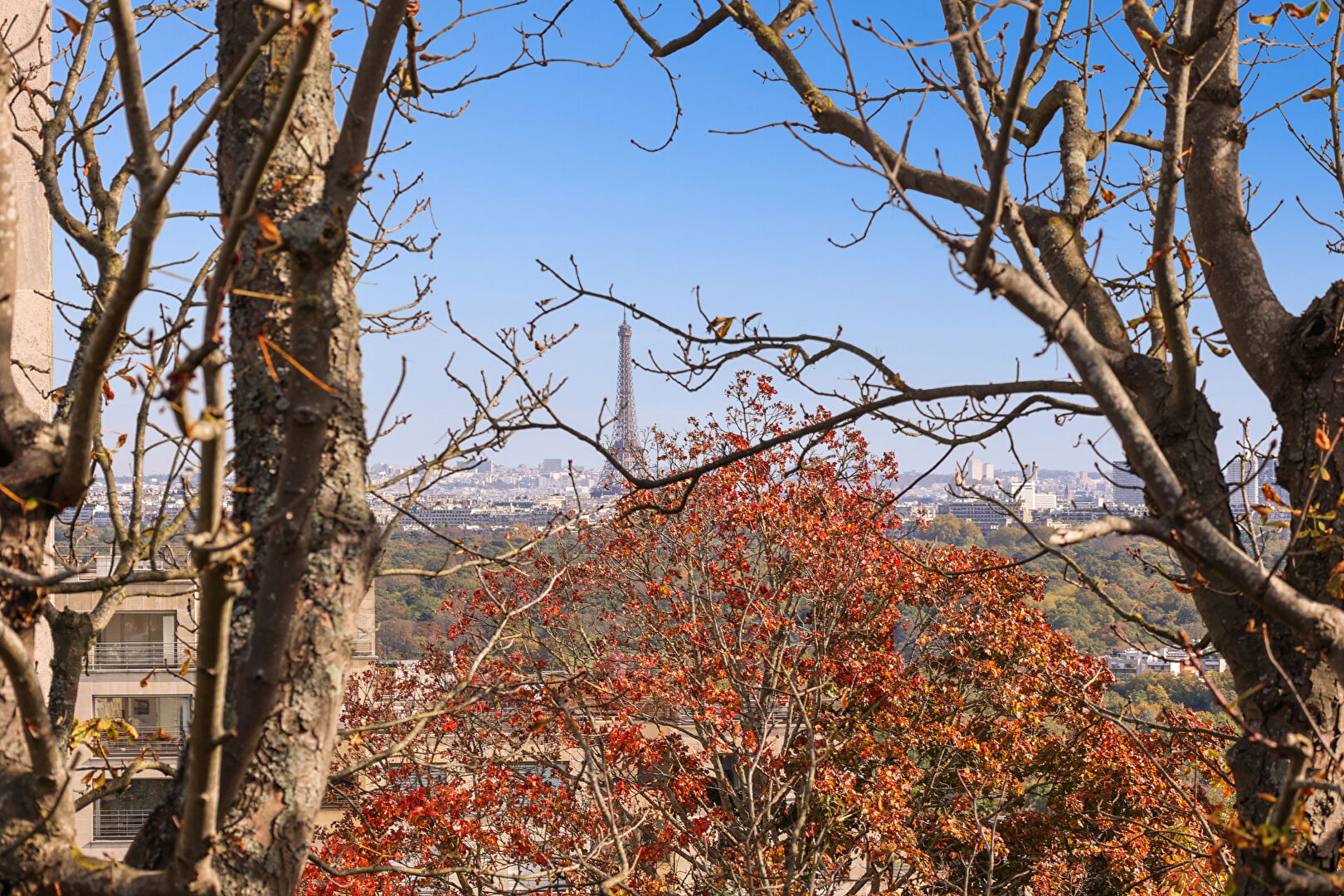 Photo SAINT CLOUD APPARTEMENT D'EXCEPTION 123 M2 ROOFTOP VUE SUR LA TOUR EIFFEL  PARKING  ASCENSEUR image 3/6