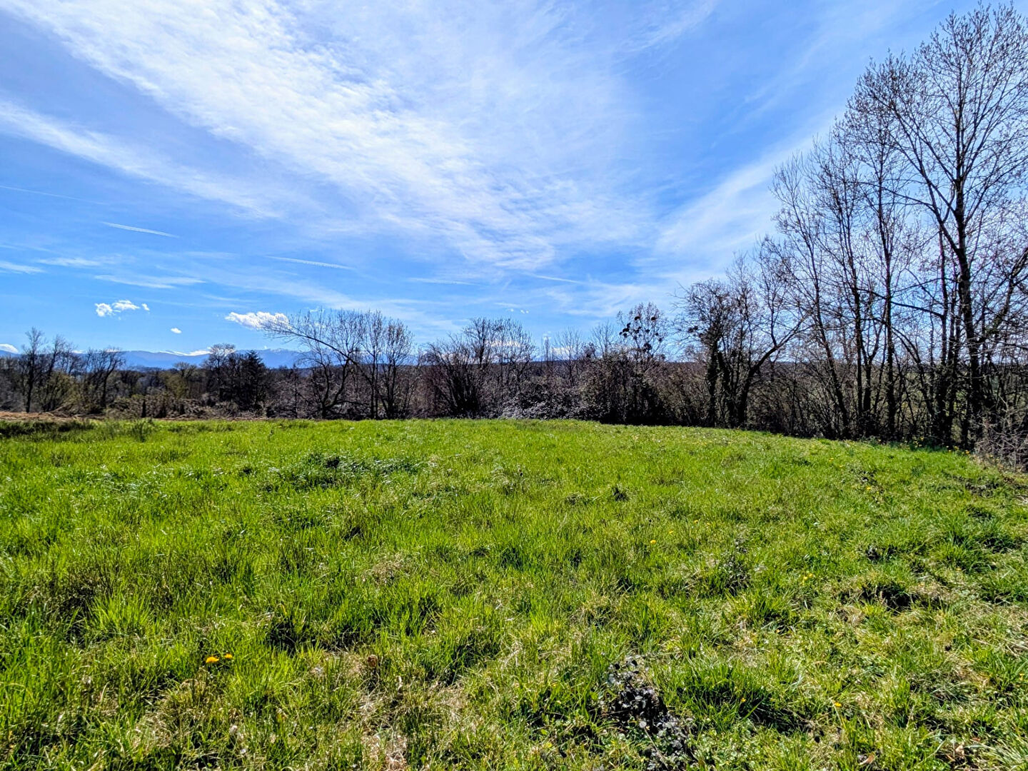 Agence immobilière de immo64 - Agence de Soumoulou