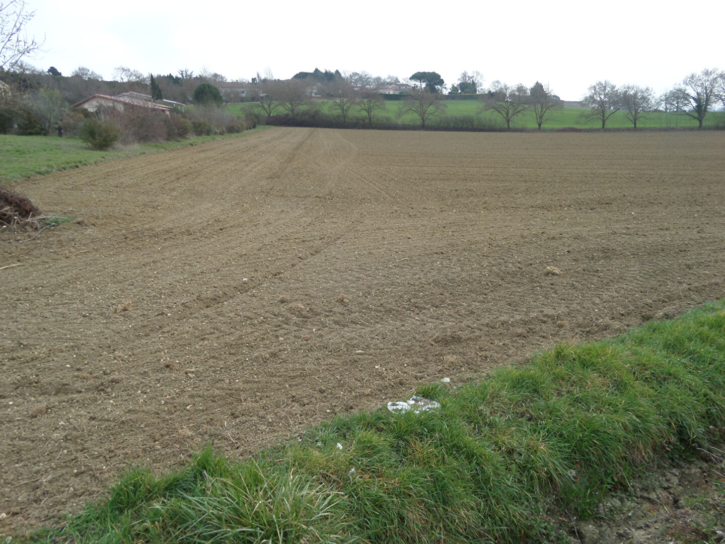 Photo Terrain La Sauvetat 12000 m2 image 2/5