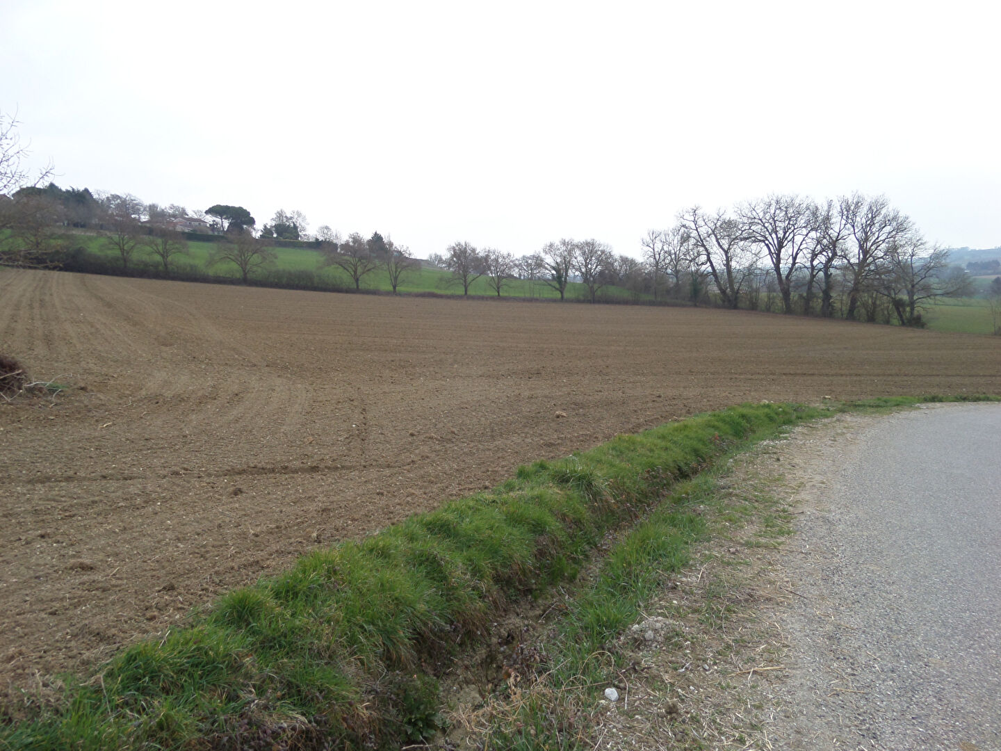 Photo Terrain La Sauvetat 12000 m2 image 3/5