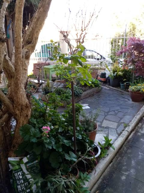 Photo Maison ancienne 5 pièces avec cour à  Croix de Pierre. image 5/6