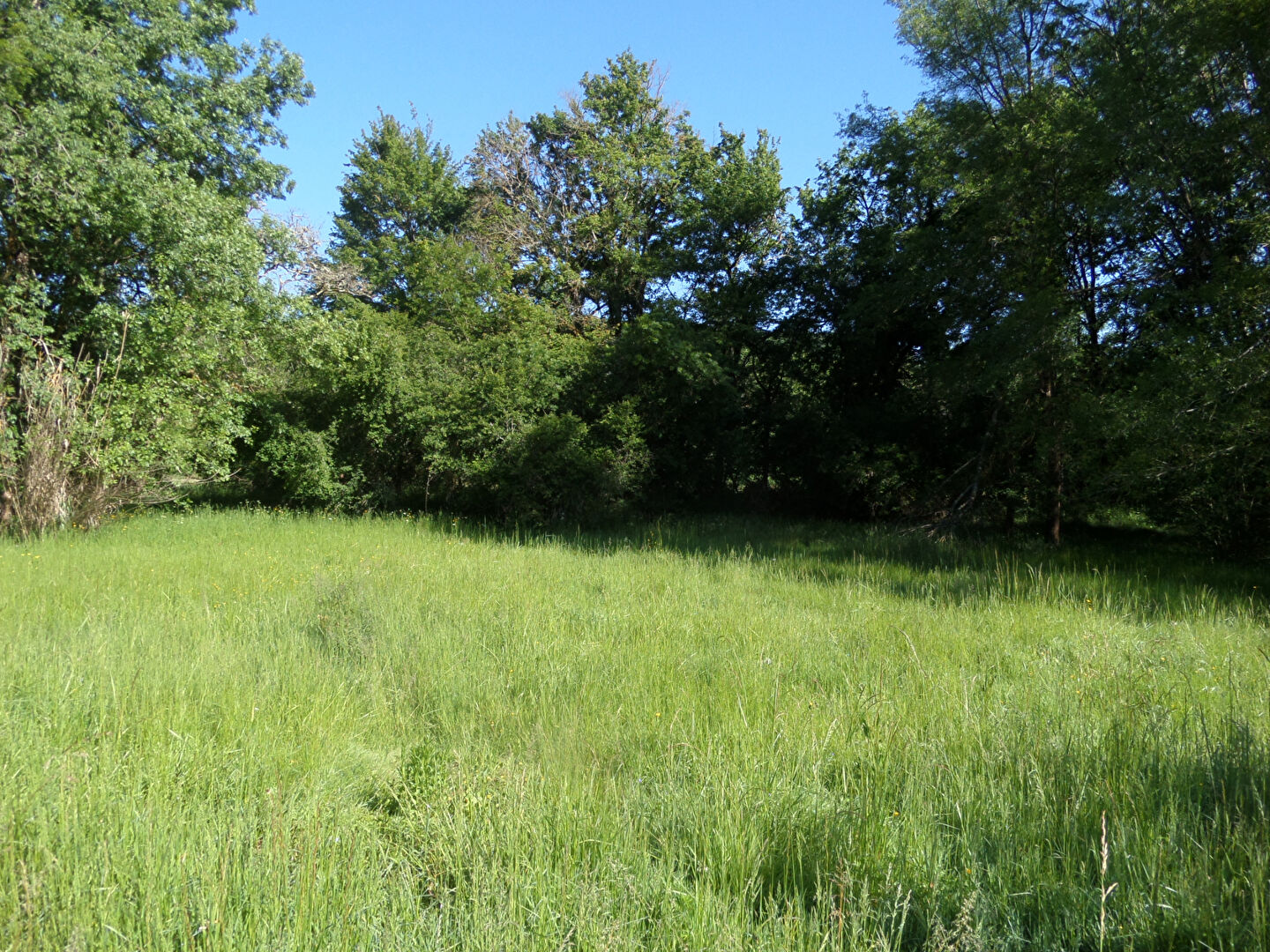 Photo Terrain  20330 m2 image 2/4