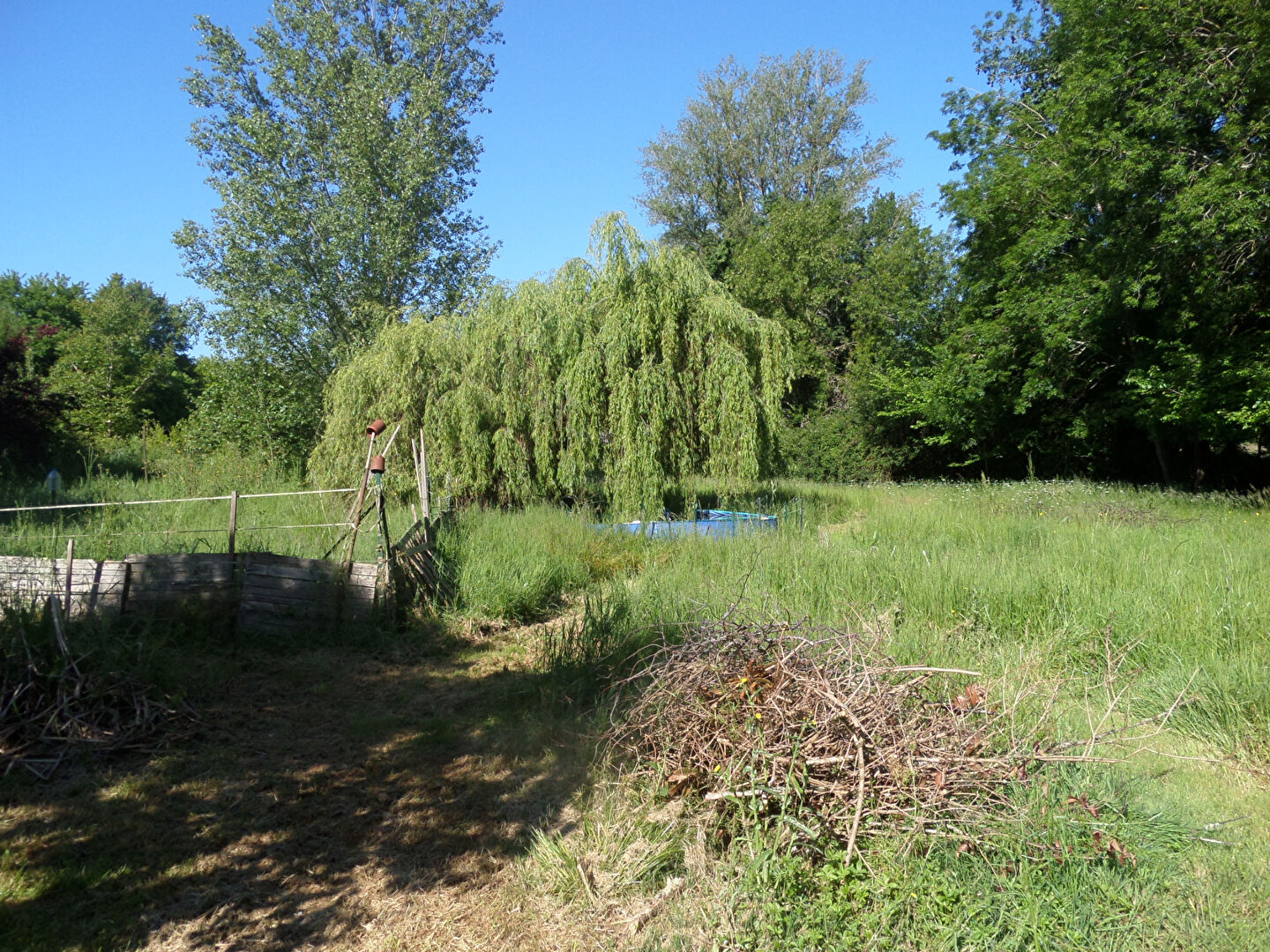 Photo Terrain  20330 m2 image 3/4