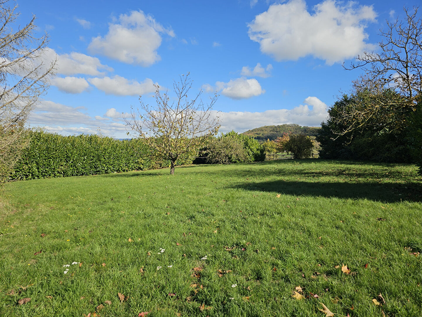 Photo Terrain 1205 m² entièrement constructible image 3/5