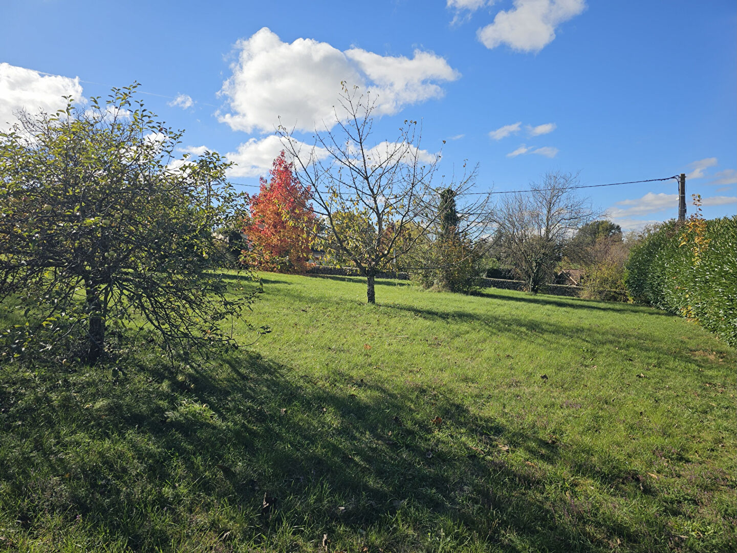 Photo Terrain 1205 m² entièrement constructible image 4/5