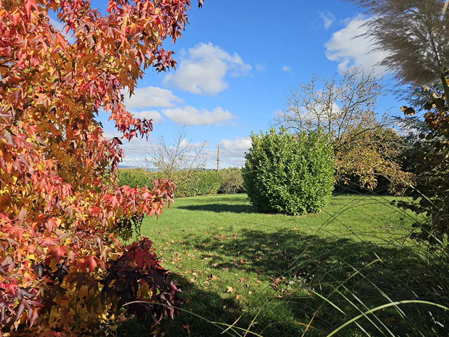 Photo Terrain 1205 m² entièrement constructible image 1/5