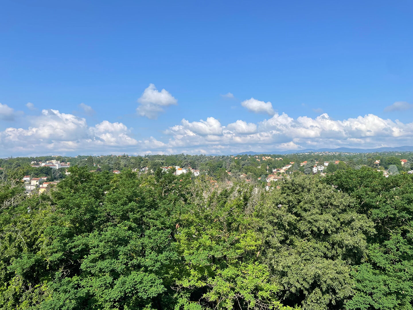 Agence immobilière de Immobilier Fidésien Oullins