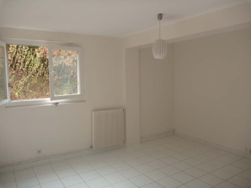 Photo ISSY-LES-MOULINEAUX - Boulevard Rodin (39,40 m²) image 4/5